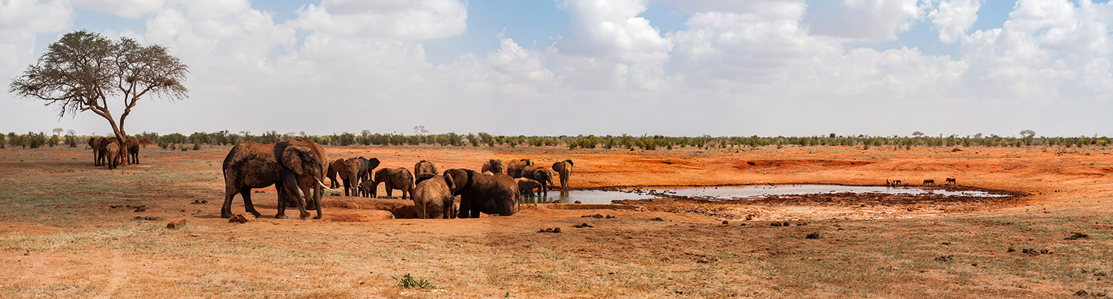 Kenia in Kenia Reisen